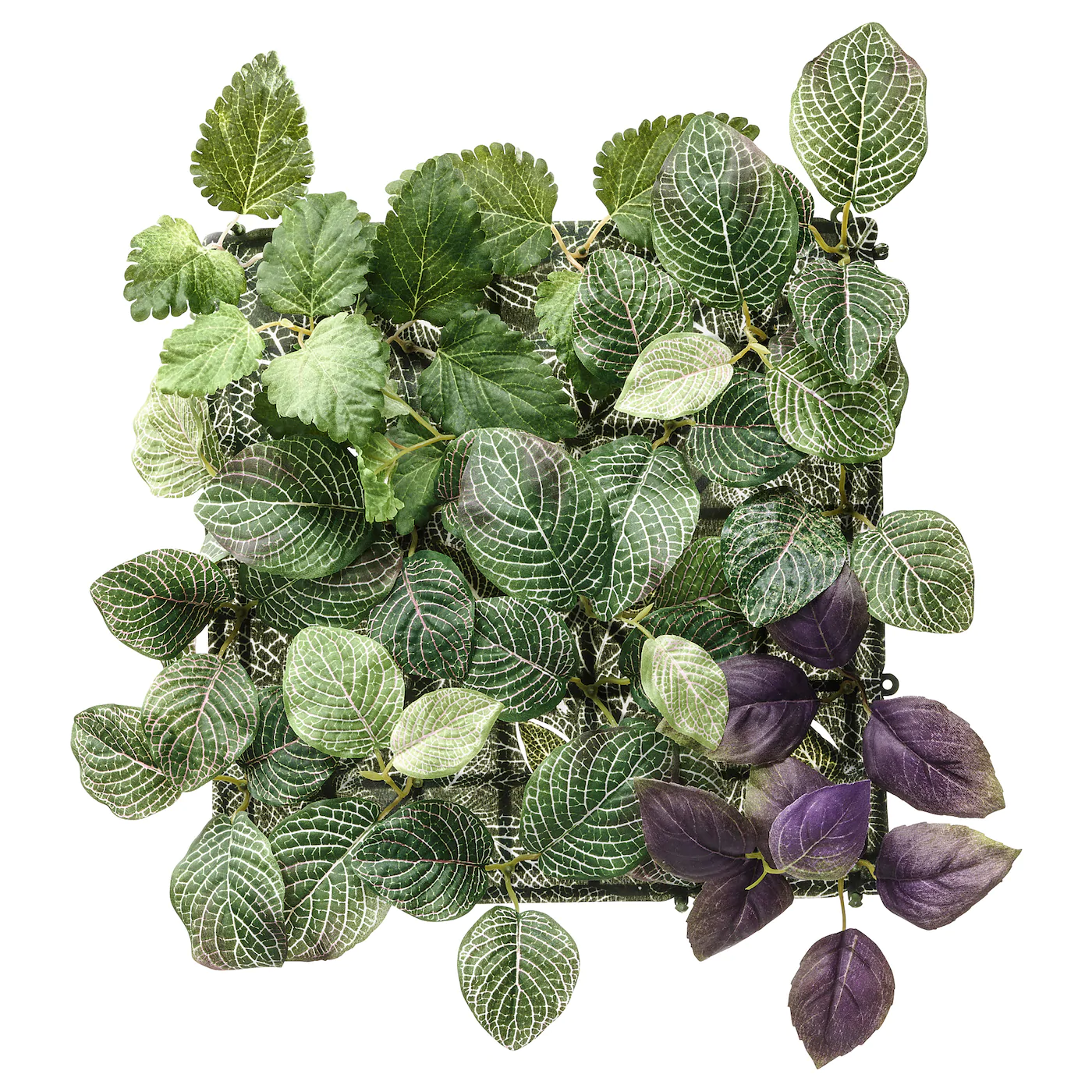fejka-planta-artificial-montaje-pared-int-ext-verde-violeta_0636355_pe697841_s5.jpg